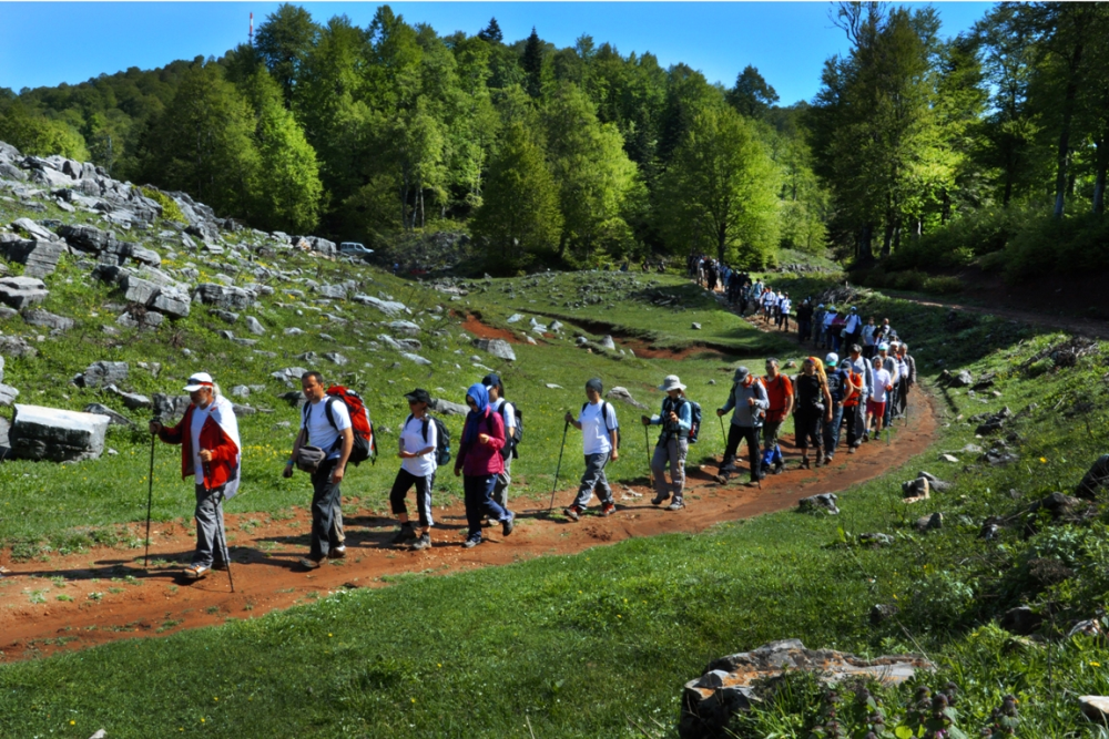 İnönü Yaylasi-kocaeli̇ - Fotoğraf 2